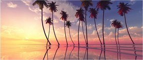 Obraz paliem týčiaci sa nad hladinu (120x50 cm)