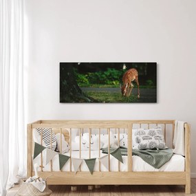 Obraz srnky (120x50 cm)