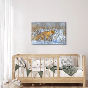Obraz - Lišiak (90x60 cm)