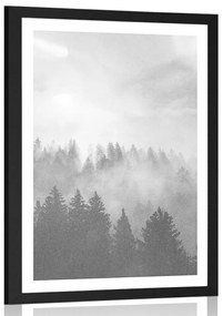 Plagát s paspartou hmla nad lesom v čiernobielom prevedení