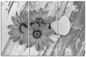Obraz na plátne - Kvety a kamenné srdce  183QB (135x90 cm)