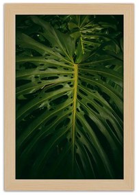 Gario Plagát Monstera - list z prírody Farba rámu: Bez rámu, Rozmery: 70 x 100 cm