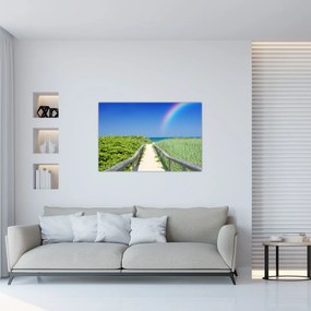 Obraz - Krajina a dúha (90x60 cm)