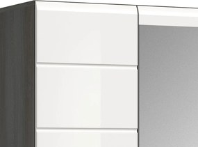 Predsieňová skriňa so zrkadlom Salsa, šedý dub/biely lesk