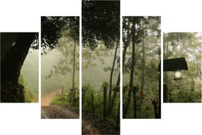 Obraz rannej hmly (150x105 cm)