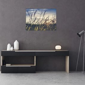 Obraz lúčnych kvetov (70x50 cm)