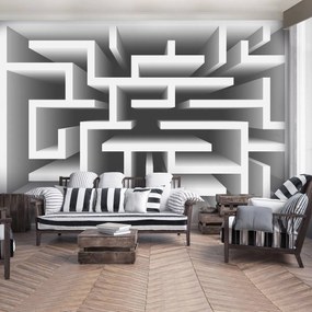 Fototapeta - 3D labyrint (254x184 cm)