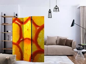 Paraván - Orange slices [Room Dividers]