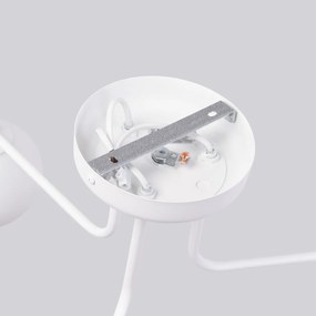 Stropné svietidlo Astral, 3x biele sklenené tienidlo, w