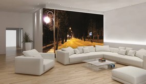 Fototapeta - Mesto (152,5x104 cm)