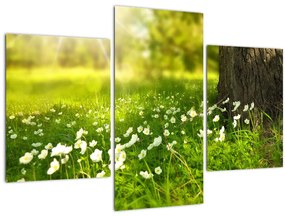 Obraz paseky a kvetín (90x60 cm)