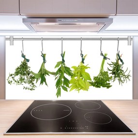 Sklenený obklad Do kuchyne Listy príroda byliny 140x70 cm