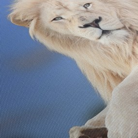 Obraz - Biely lev (120x50 cm)