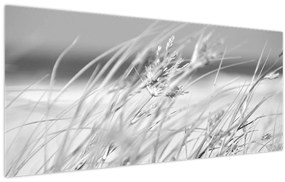 Obraz - Plážová tráva (120x50 cm)