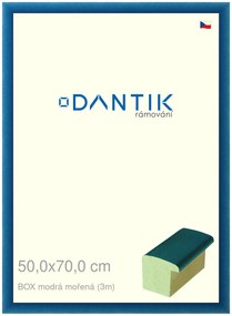 DANTIK rám na obraz 50x70 | BOX modrá mořená (Plexi Čiré)