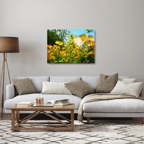 Sklenený obraz žltých kvetov (70x50 cm)