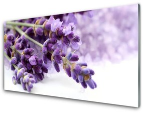 Obraz plexi Kvety príroda rastlina 100x50 cm