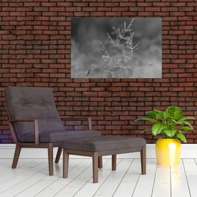Obraz - Vidiecka lúka (90x60 cm)