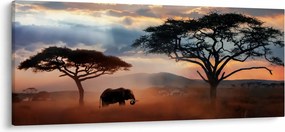 Obraz - Národný park Serengeti, Tanzánia, Afrika (120x50 cm)