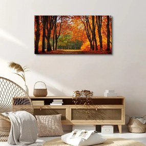 Obraz na plátne Jesenné lesná voľne žijúcich živočíchov