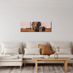 Obraz - Príchod slona (s hodinami) (90x30 cm)