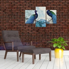 Obraz - Pávy s textúrami (90x60 cm)