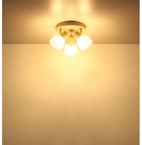 Globo 54317-3 - Bodové svietidlo PLANTA 3xE14/40W/230V