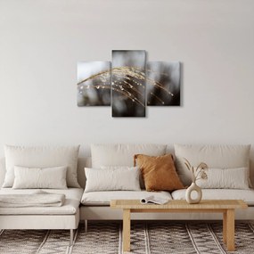 Obraz kvapiek na rastline (90x60 cm)
