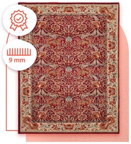 Koberec Antique 29681 53588