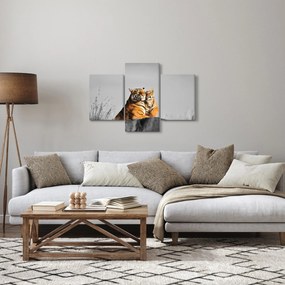 Obraz - Tigrice a jej mláďa, čiernobiely variant (90x60 cm)