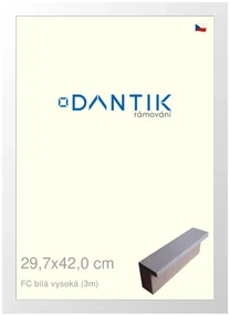 DANTIK rám na obraz 29,7x42 | FC Bílá vysoká (Plexi Čiré)