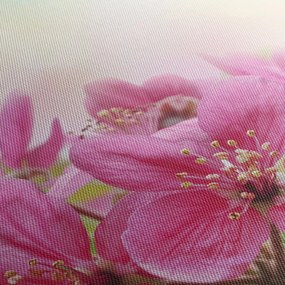 Obraz - Ružové kvety (120x50 cm)