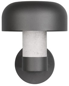 Nástenné vonkajšie svietidlo (výška 24,5 cm) Fraser – Trio