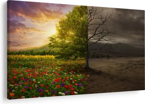 Obraz - Kolobeh života (90x60 cm)