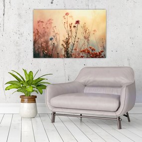 Obraz - Divoké kvety (90x60 cm)