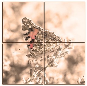 Obraz na plátne - Motýľ na levanduľe - štvorec 3221FE (100x100 cm)
