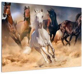 Obraz - Kone v púšti (70x50 cm)