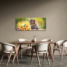 Obraz mačiatka pozerajúce sa na kvetinu (120x50 cm)