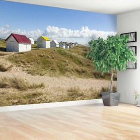 Fototapeta Vliesová Dunes beach 312x219 cm