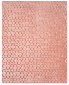 EUROFIRANY FLANELOVÁ DEKA ZOE2 150X200 CM PUDROVÁ