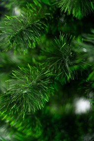 Limpol Smrek Tomek 1,80 m