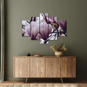 Obraz - Magnolie (150x105 cm)