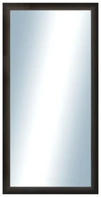 DANTIK - Zrkadlo v rámu, rozmer s rámom 50x100 cm z lišty LEDVINKA tmavo hnedá (1442)