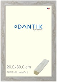 DANTIK rám na obraz 20x30 | PAINT bílá malá (Sklo Čiré)