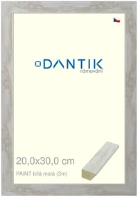 DANTIK rám na obraz 20x30 | PAINT bílá malá (Sklo Čiré)