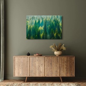 Obraz - Borovicový les (90x60 cm)