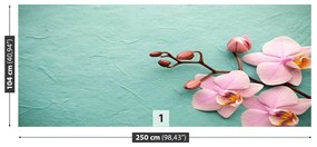 Fototapeta Vliesová Orchid pink 152x104 cm