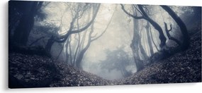 Obraz - Les v hmle (120x50 cm)
