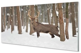 Nástenný panel  Jeleň zimné les 140x70 cm