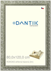 DANTIK rám na obraz 80x120 | ROKOKO stříbrná házená (Plexi Čiré)